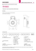 Datasheet RH965 (EN)-2