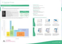 Diaphragm Pumps - 2