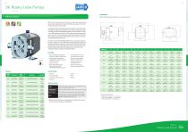 Lobe Pumps-3