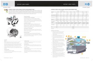 pt6_7_8Gear_Hand_LobePumps - 6