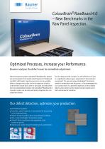 ColourBrain® RawBoard 4.0-1