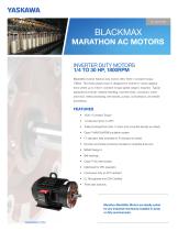 BlackMax Marathon AC Motors-1