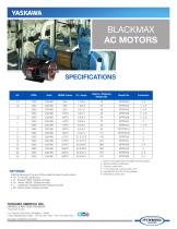 BlackMax Marathon AC Motors-2