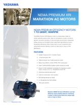 NEMA Premium Efficiency XRI-1