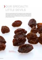 BULK INGREDIENT SOLUTIONS FOOD-6
