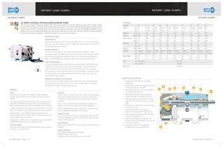 Gear Pumps, Hand Pumps & Lobe Pumps - 8