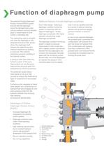 NOVAPLEX Integral Process Pumps - 4