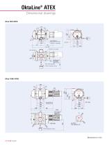 Explosion-proof Roots pumps - OktaLine ATEX - 6