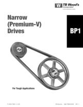 Premium V-Belt Drives Catalog - 5