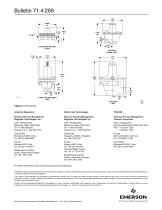 289 series Spring-Loaded Relief Valves - 8