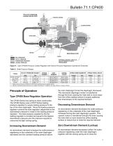 CP400 Series Commercial / Industrial Pressure-Loaded Pressure Reducing Regulators - 5