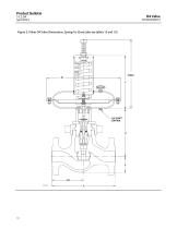 Fisher™ D4 Control Valve Assembly-10