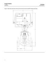Fisher™ D4 Control Valve Assembly-12