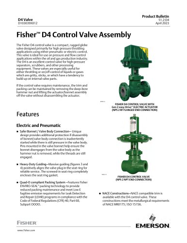 Fisher™ D4 Control Valve Assembly