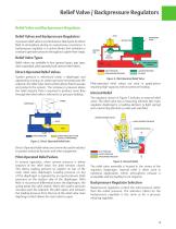 The Industry Standard for  Pressure Regulators-5