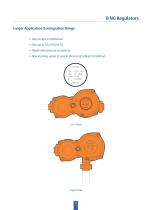 RESIDENTIAL REGULATORS Type B NG - 3