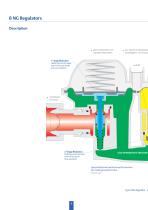 RESIDENTIAL REGULATORS Type B NG - 4