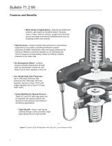 Type 99 Pressure Reducing Regulator - 2