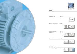 mechanical speed variators "VARIO" - 2