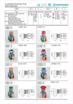 Illuminated Push Button Switches,IP65-1