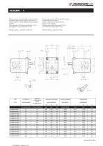 T-SYSTEM series pumps and motors with support bearing - 8