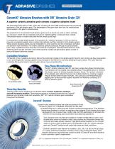 Abrasive Brushes-2