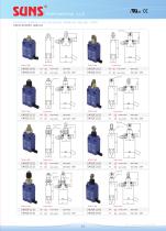 SM31 Safety Limit Switches-2