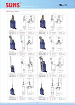 SM31 Safety Limit Switches-3