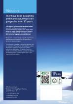 ESI Strain gauges & Bonding services-8