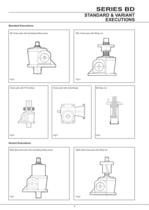 Series BD Screw Jacks-7