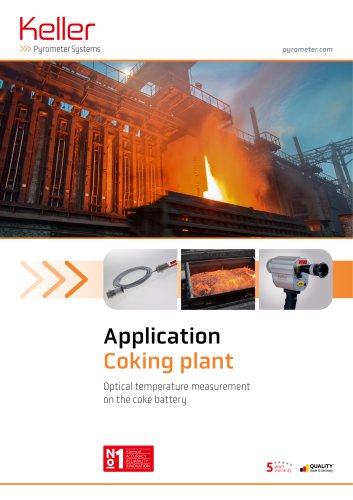 AN Coking plant_ID2538_202606_en