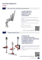 Pneumatic Tools - DSE Series-17