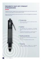 Pneumatic Tools - DSE Series-6
