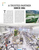 SMI NOW 17/2017-10