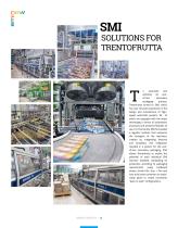 SMI NOW 17/2017-8