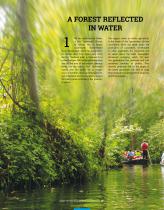 SMI NOW 19/2018-6