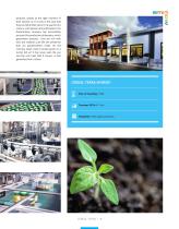 SMI NOW 23/2020-7