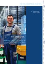 INDIVIDUAL CUSTOMER SOLUTIONS-2