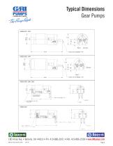 Gear Pumps - 4