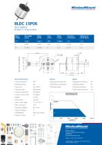 BLDC_15P06-1