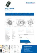 BLDC_39-2