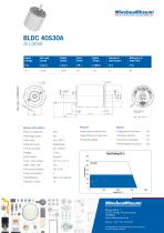 BLDC_4O-3