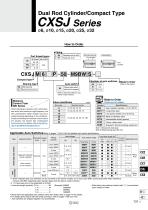 CXSJ-15