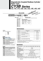 CY3B-9