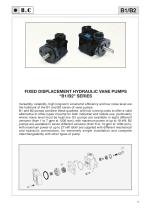 B1 and B2 Series  VANE PUMPS-2