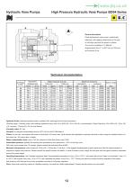 BD Series  HIGH PRESSURE  VANE PUMPS-13