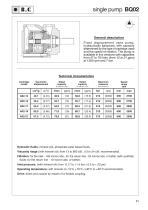 BQ Series  VANE PUMPS-12