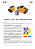 BQ Series  VANE PUMPS-2