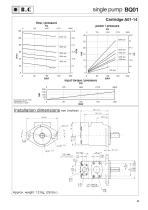 BQ Series  VANE PUMPS-9