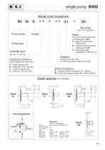 BV Series  VANE PUMPS-17